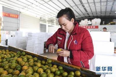 玩起直播的农民“网红